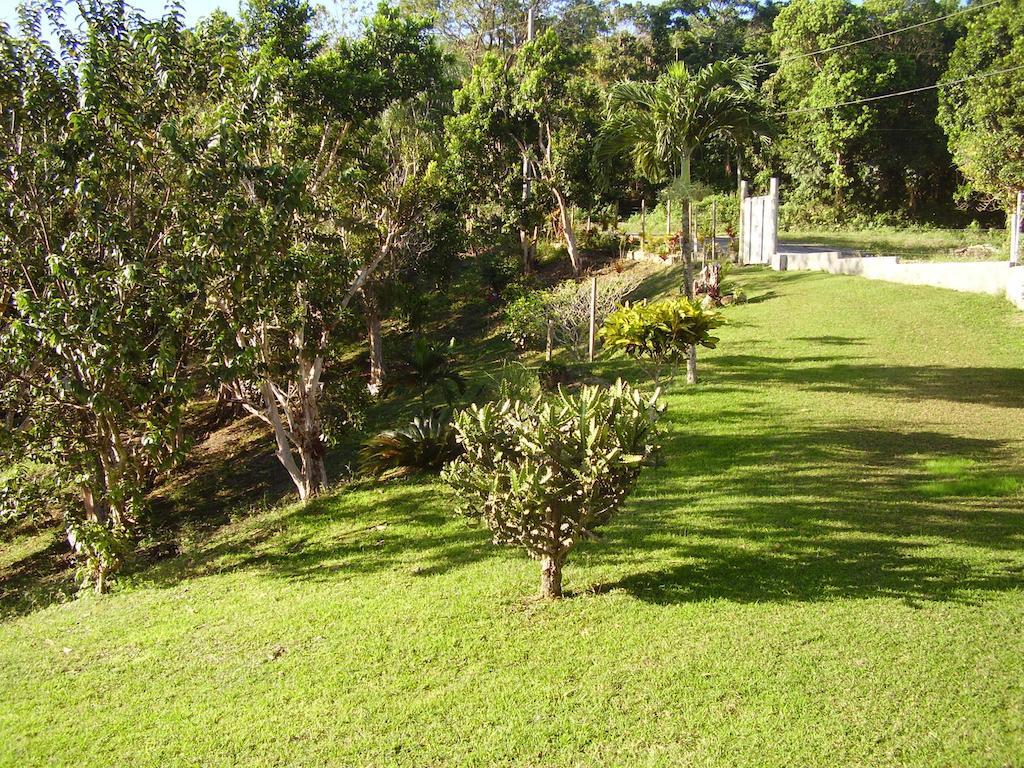 Teresinajamaica Hotel Saint Ann's Bay Exterior photo