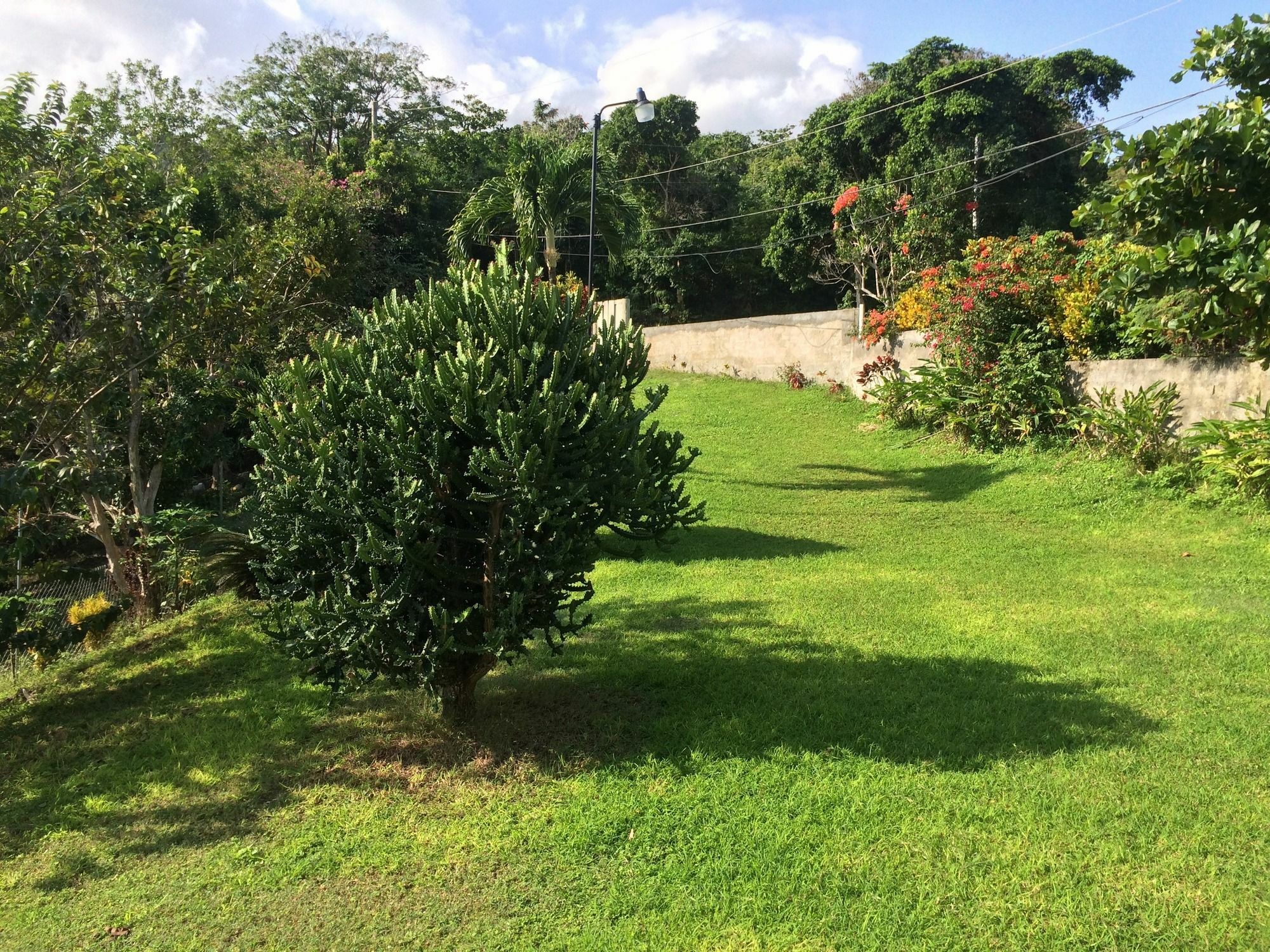 Teresinajamaica Hotel Saint Ann's Bay Exterior photo